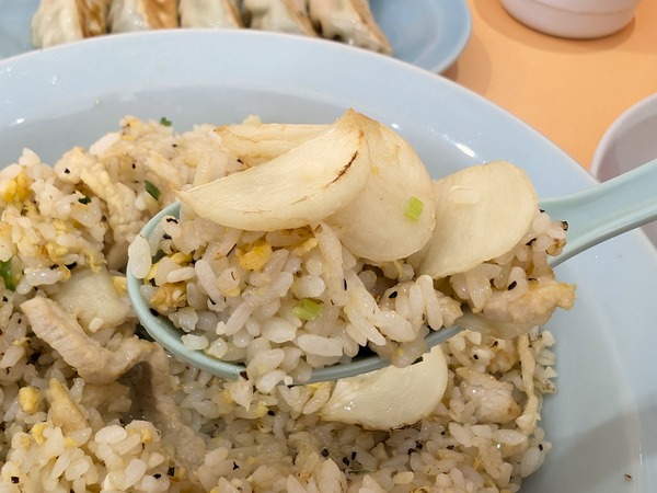 PXL_20250926_024849879.RAW-01.COVER