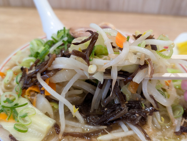 PXL_20260326_045813383.RAW-01.COVER