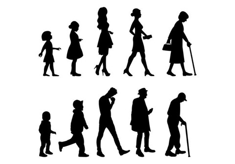 Vector-Of-Grow-Up-Human