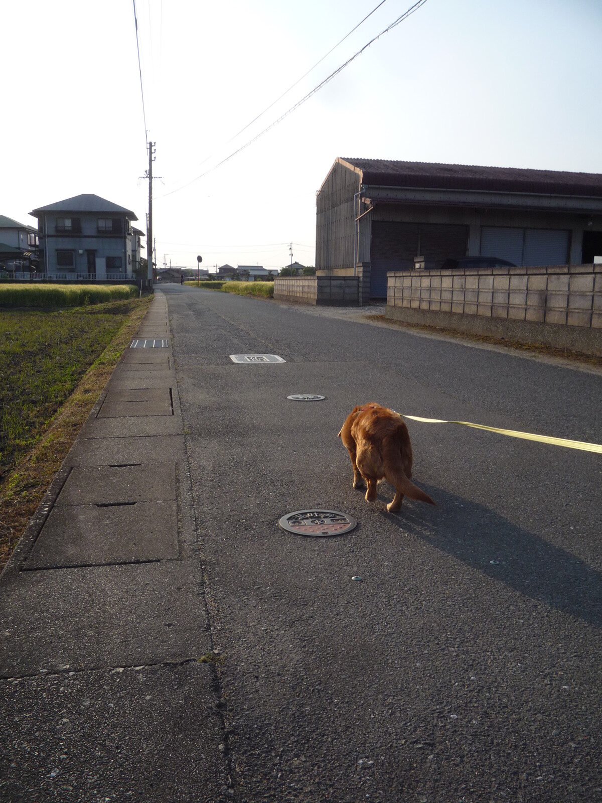 4 25 土 晴 東京の死者 計100人に 耳日記