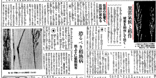 ����16ǯ8��2��