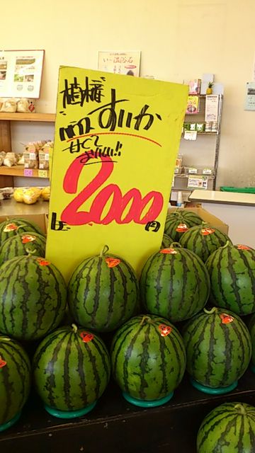 6月上旬 スイカの値段 売文家 6月上旬 スイカの値段 売文家