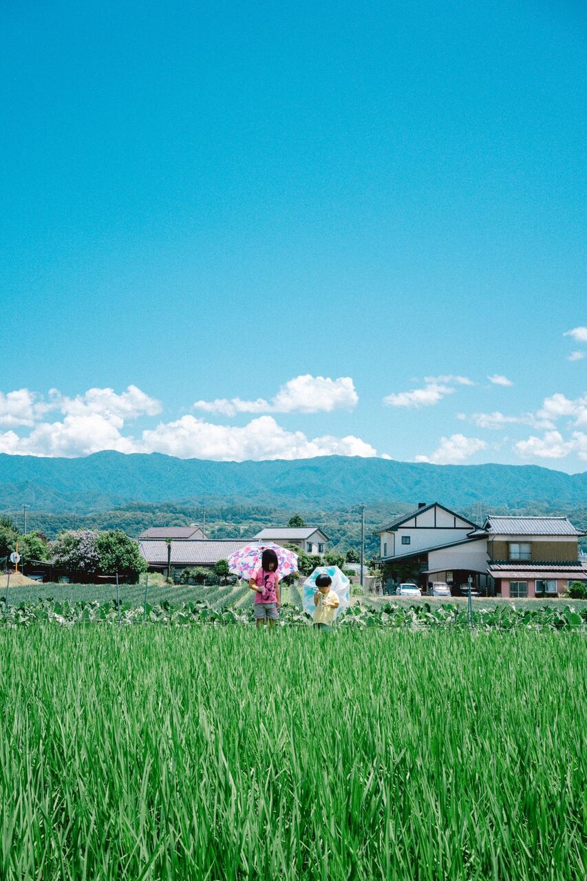 画像 夏の田舎の子どもとノスタルジックな画像あげてく メンズ速報 画像 夏の田舎の子どもとノスタルジックな画像あげてく メンズ速報
