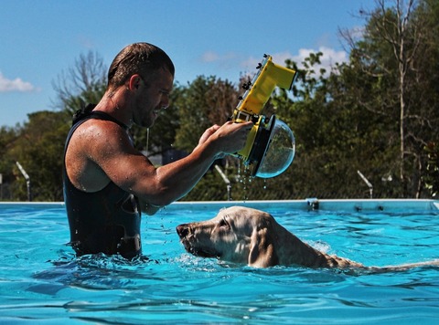 Underwater-Dogs-1-RE-1024x759