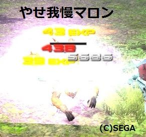 pso20160310_202323_012