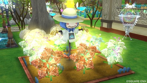 20150126-1242_221748753