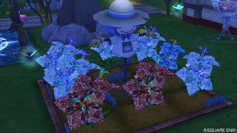 20150124-2012_221249936