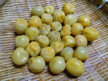 DSCN6095