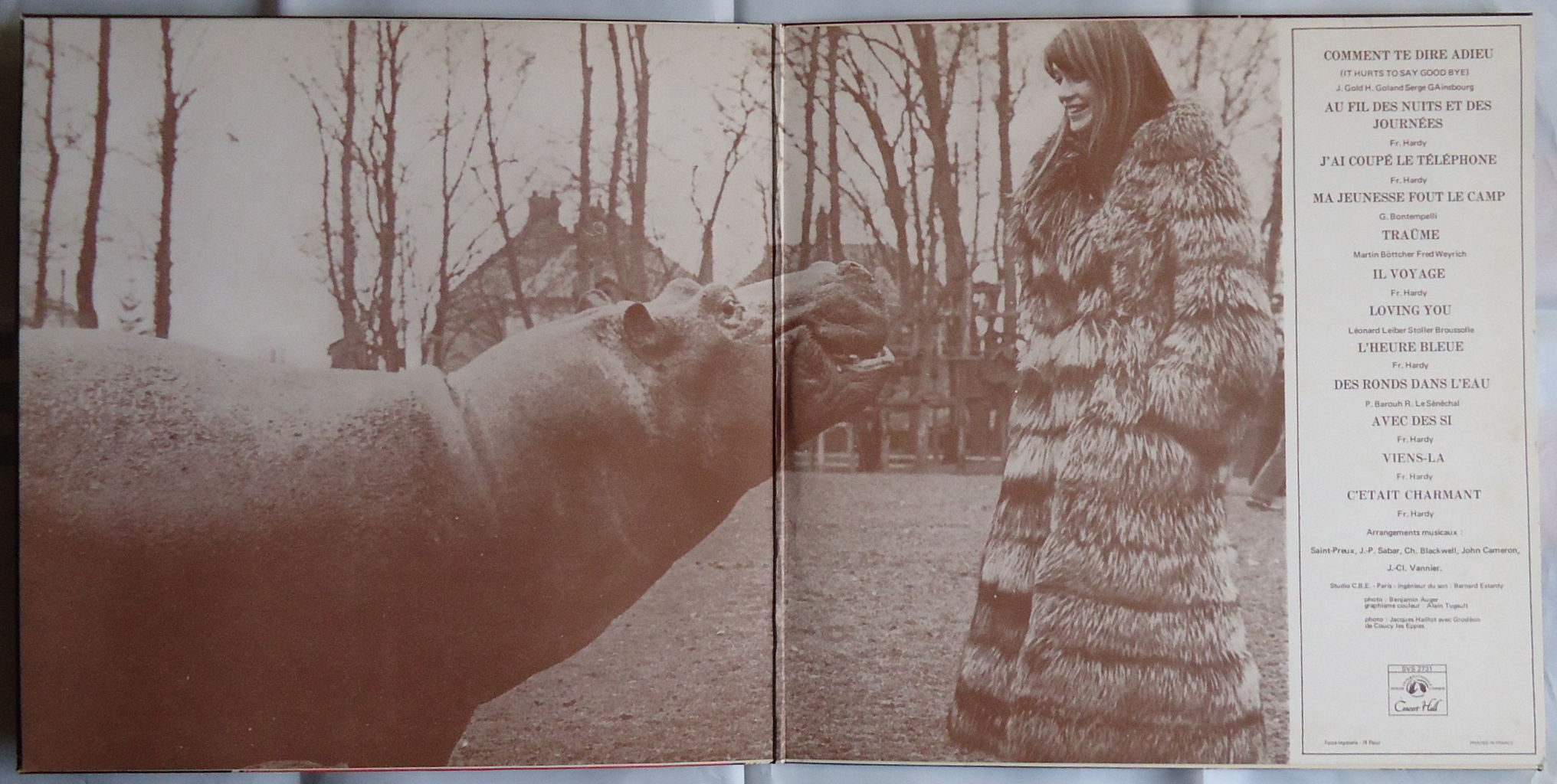 仏オリジナル盤 Françoise Hardy レコード アナログ レア 仏