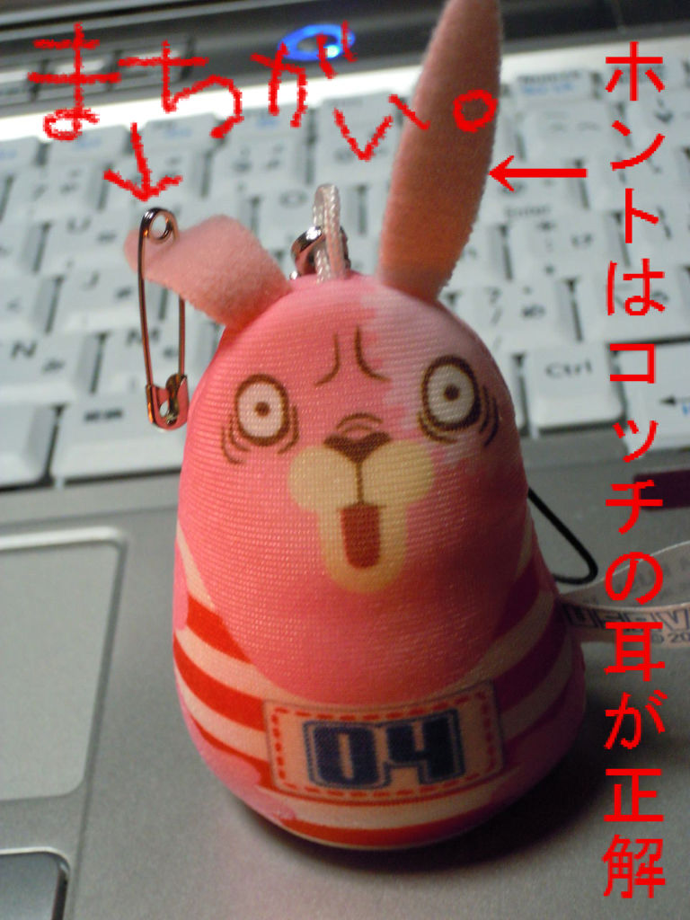 猫とウサギと 安全ピン 本を閉じて猫を追いかける