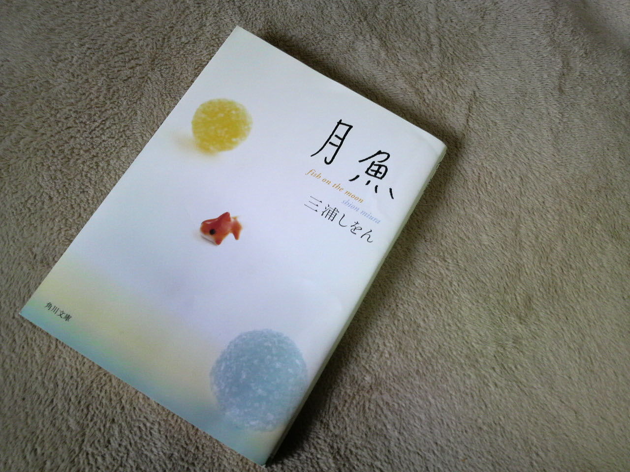 本のこと。「月魚」 三浦しをん : 本を閉じて猫を追いかける。