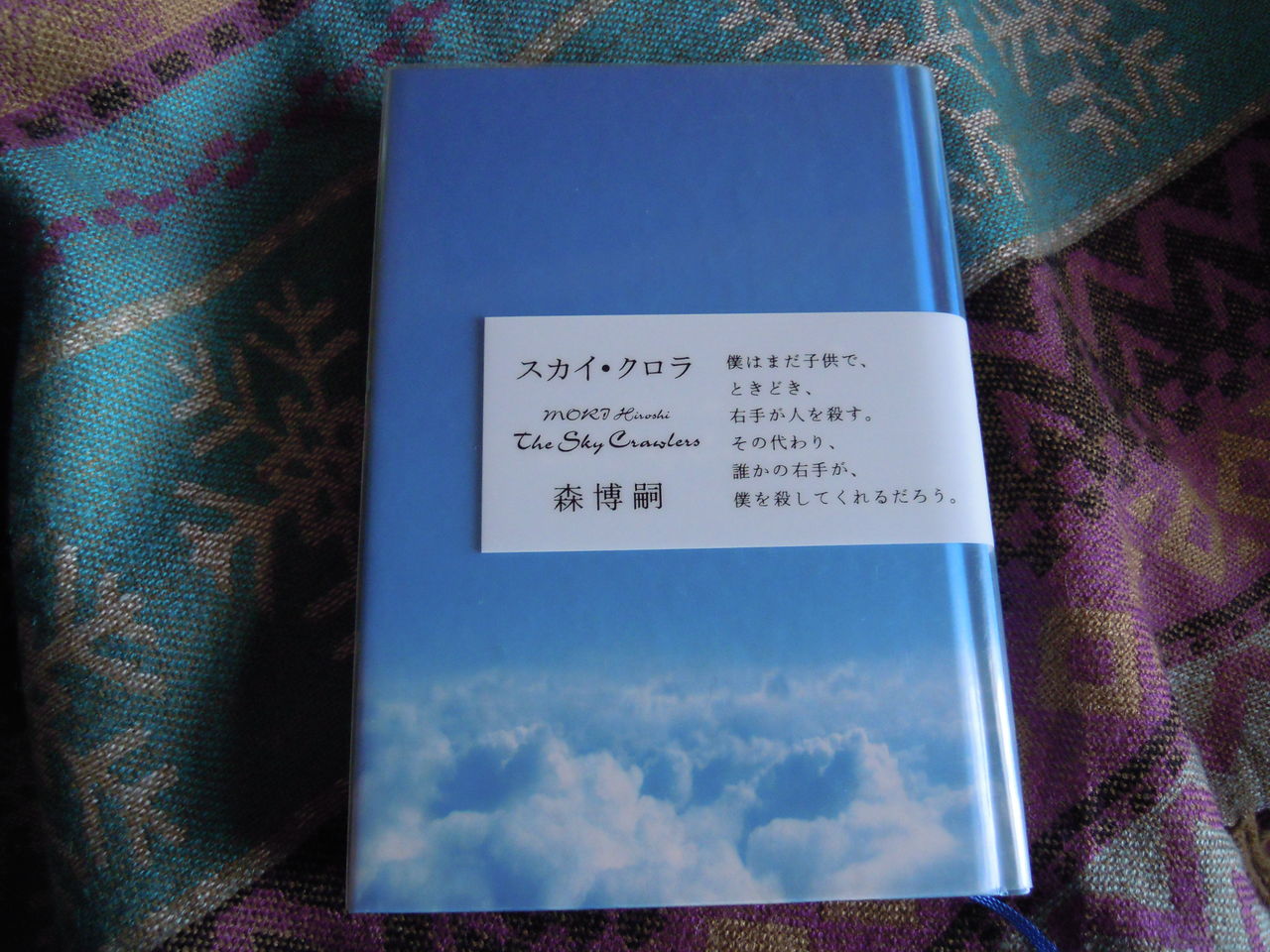 本のこと スカイ クロラ 森博嗣 本を閉じて猫を追いかける