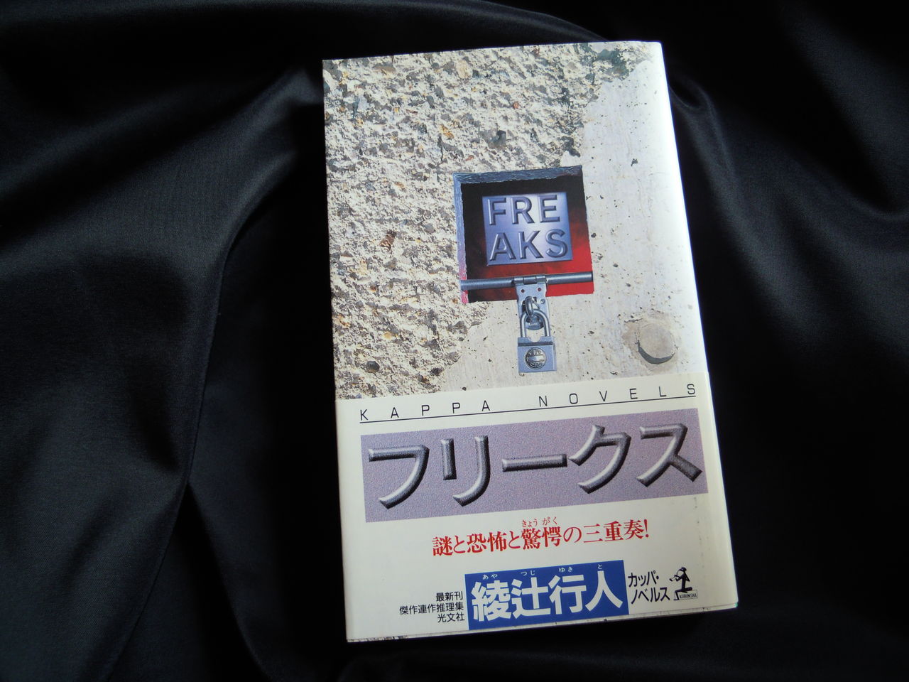 本のこと フリークス 綾辻行人 本を閉じて猫を追いかける 本のこと フリークス 綾辻行人 本を閉じて猫を追いかける