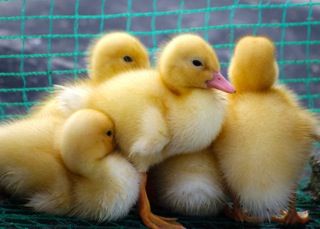 !cid_0C18AFB4-9E1C-4A1F-8E72-B3DBC7CAE4C2