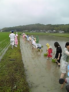 0395e6c3.jpg