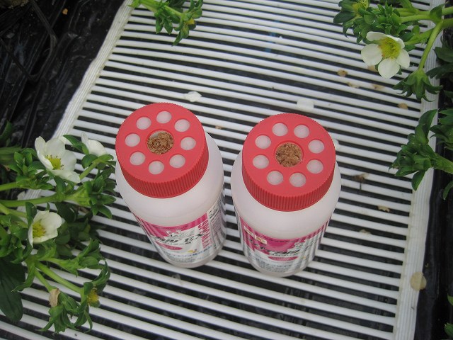 05fa6419.jpg