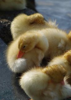 !cid_F2D8B734-66E0-4067-93AC-37EF0973882C