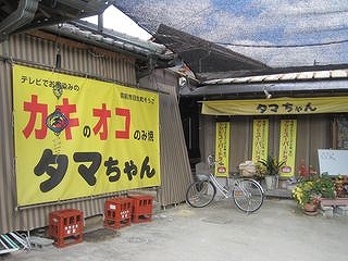 080351f3.jpg