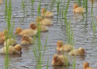 !cid_343A85E6-B82F-4E25-AAFB-B659D4A513FE