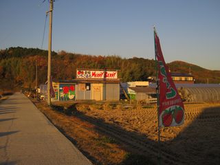 1a6346e5.jpg