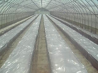 1b3783ac.jpg