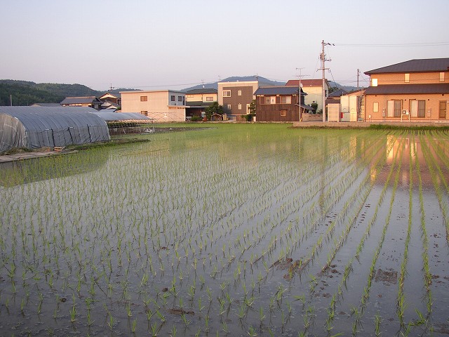 208c4b07.jpg