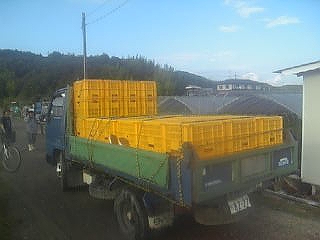 225bef35.jpg