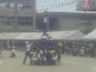 26144de0.jpg