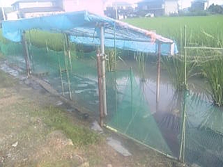 27504b03.jpg
