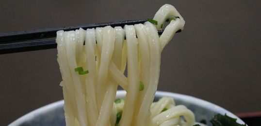 きしうどん