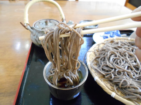 DSCN0844
