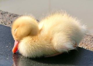 !cid_BD65E08E-1AE7-407C-B30B-26F30CFF8386