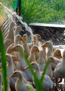 !cid_C2216734-D135-4D27-9AA8-E3EC09790982