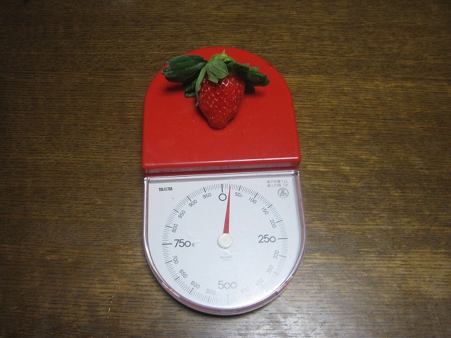 2f46e300.jpg