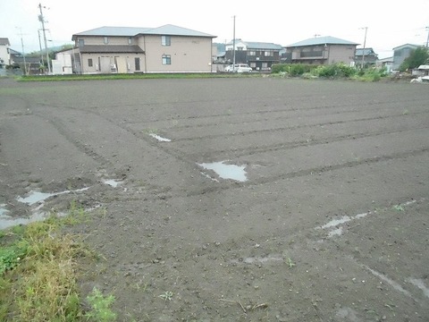 DSCN3454