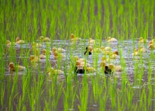 !cid_ED9D9BB5-9FD2-4F58-BE20-300A2C04EE6B