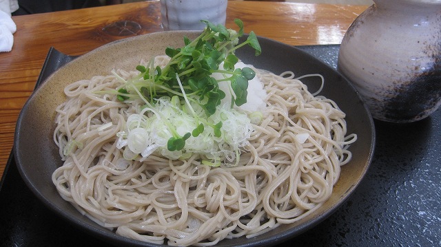 41f6c43d.jpg