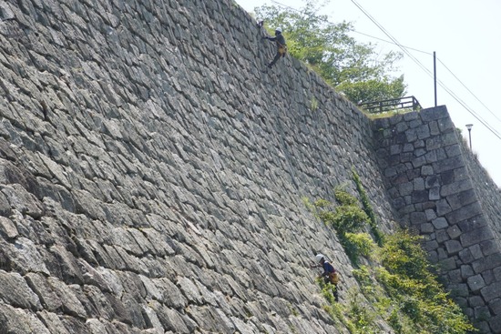 LINE_ALBUM_津島ノ宮・丸亀城_240806_23