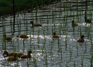 !cid_9B5A9111-BD63-487E-BA3A-427618C72CCE