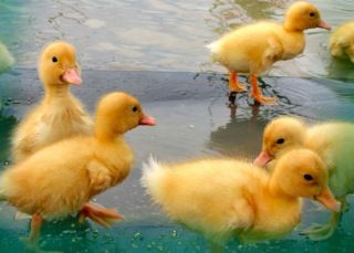 !cid_8C7D48E0-6F32-449D-B66C-1FD91575F56C