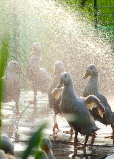 !cid_EA001FC9-98D0-459C-945B-7C1326AE7CEC