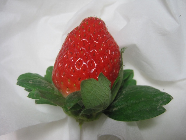 5d6b8221.jpg