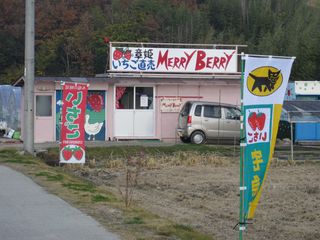 608b38e6.jpg