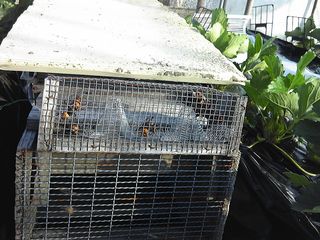 64320122.jpg