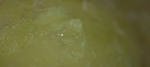 DSCN0813