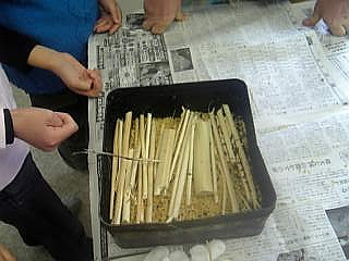 72977d80.jpg
