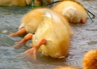 !cid_C2F28E3C-AF6C-4446-BEA6-E389963CDCF9