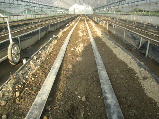 IMG_0187