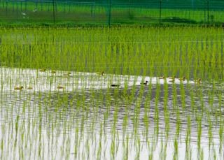 !cid_6FF3F29E-DAEF-4470-A000-3B5668D9B4D2