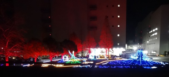 DSC07681